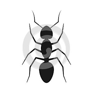 Black silhouette ant isolated on white