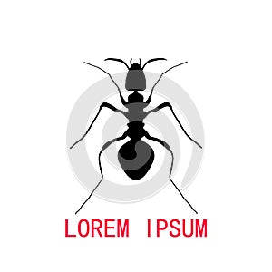 Black silhouette of ant, logo design. vector