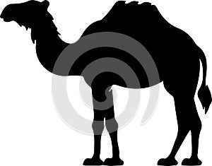 bactriancamel Black Silhouette Generative Ai photo