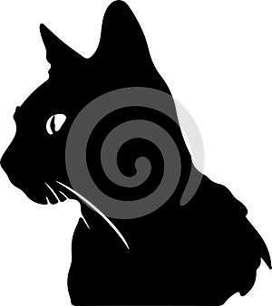 Bambino Cat Black Silhouette Generative Ai photo