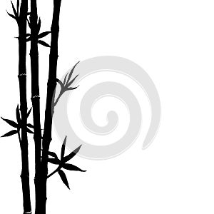 Black silhouette of bamboo plants on white background