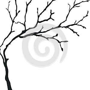 Black silhouette of a bare tree