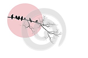 Black silhouette of bare tree with birds doves on branch on pink circle. Minimalistic design, white background