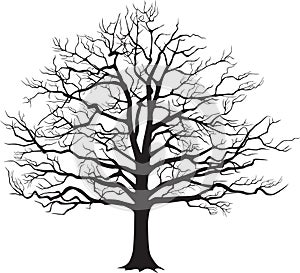 Black silhouette bare tree . Vector illustration