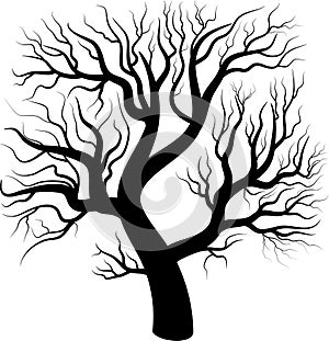 Black silhouette bare tree