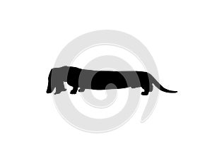 Black silhouette of a basset hound dog on white background. Computer generated sketch / drawing.