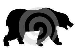 Black silhouette of a bear on a white background looking forward.