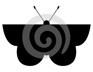 Black silhouette of a Butterfly, icon in a cool trendy style, vector illustration of an insect