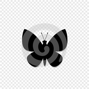 Black silhouette of butterfly isolated on transparent background