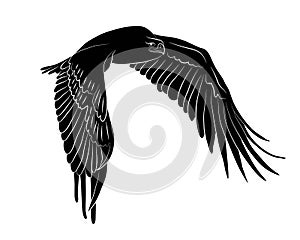 Black silhouette Cartoon flying wild eagle in isolate on a white background.