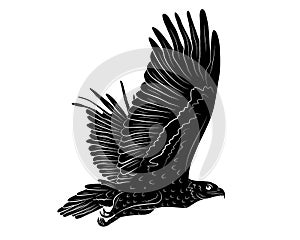 Black silhouette Cartoon flying wild eagle in isolate on a white background.