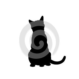 Black silhouette of cat. Isolated image of kitty. Farm pet. Veterinary clinic logo