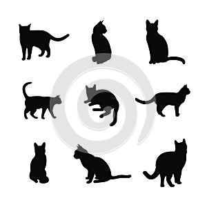 Black silhouette of a cat. Isolated over white background.