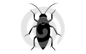 Black silhouette of a cockroach isolated on white backdrop. Vector illustration. Top view. Pest control and infestation