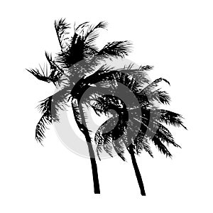 Black silhouette coconut tree swayed by the wind, isolated natural plant sign, vector