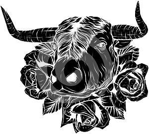 black silhouette of Cow and roses on white background.