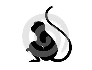 Black silhouette cute vervet monkey cartoon animal design flat vector illustration isolated on white background