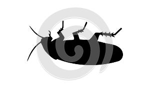 Black silhouette of dead cockroach lying on its back on white backdrop. Vector illustration. Good for pest control