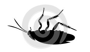 Black silhouette of dead cockroach lying on its back on white background. Vector illustration. Good for pest control