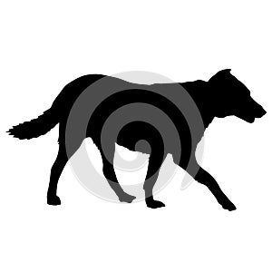 Black silhouette of dogs on a white background