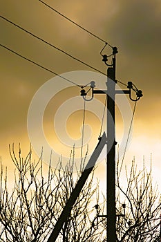 Black silhouette of electric pillar and bare tree branches against the cloudy evening sunset sky