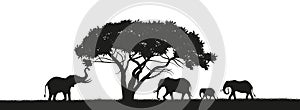 Black silhouette of elephants in savannah. Animals of Africa. African landscape. Panorama of wild nature