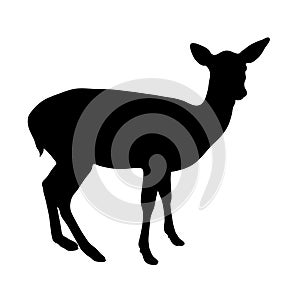 Black silhouette of fawn on white background illustration