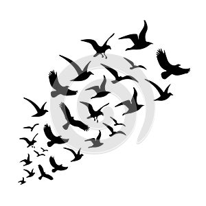 Black silhouette of flying birds group isolated on white background. birds flock silhouettes.