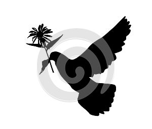 Black silhouette of a flying dove with a flower on a white background. Vector illustration