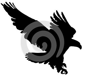 Black Silhouette Flying Golden Eagle vector