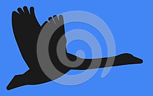 A black silhouette of a flying swan against a blue backdrop