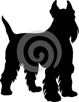 Giant Schnauzer Black Silhouette Generative Ai