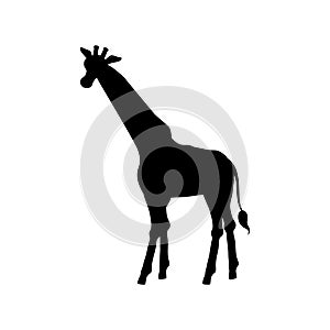 Black silhouette of going giraffe side view flat style, vector illustration