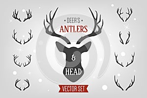 Black silhouette hand drawn deer s horn, antler and head set. Animal antler collection. Design elements of deer photo