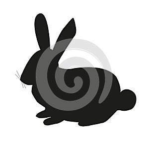 Black silhouette of a Hare,rabbit isolated on white background.