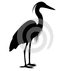 Black silhouette of a heron. A water bird. A relative of the stork and the crane