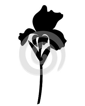 Black silhouette of a large iris flower with leaves, bud and stem - stock illustration. Iris - black silhouette for a logo or pict