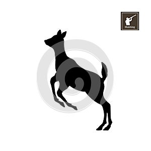 Black silhouette of little deer on white background. Forest animals. Detailed isolated image