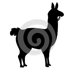 Black silhouette of llama cartoon animal design flat vector illustration isolated on white background side view