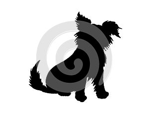 Black silhouette of a long furred dog on white background. Computer generated sketch / drawing of a small puppy with long fur.