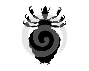 The black silhouette of a louse