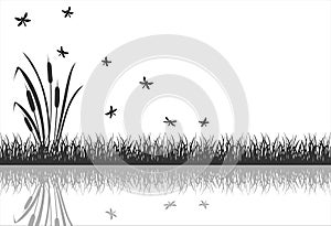 The black silhouette of marsh grass with flying insects, dragonflies is reflected in the water.