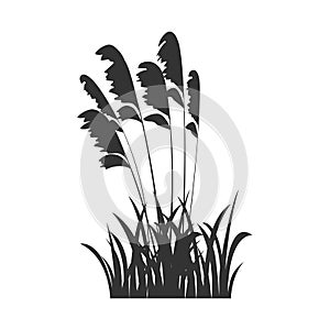 Black silhouette of marsh grass, lake reeds. Vector illustration of grass in the form of shadow.