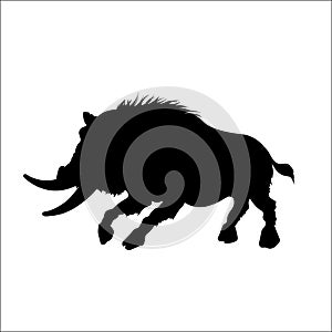 Black silhouette of moster wild boar on white background. Tattoo of fury pig