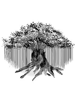 Black silhouette of old banyan tree isolated on white background.