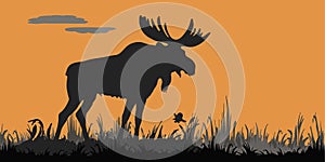 Black silhouette of one moose standing in the grass
