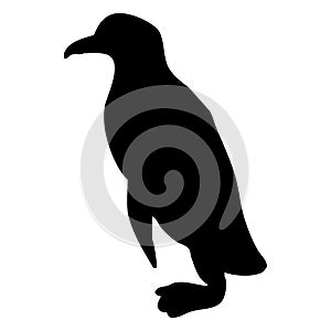 Black silhouette of a penguin on a white background.