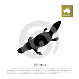 Black silhouette of platypus on a white background. Animals of Australia