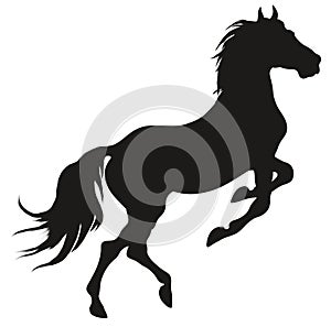 Black silhouette of a rearing horse.