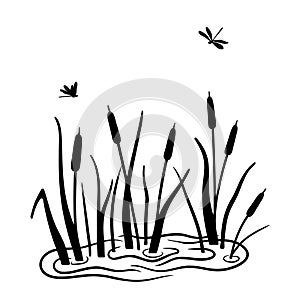 Black silhouette of reeds in swamp or pond with flying dragonflies. Vector illustration of water plants is isolated